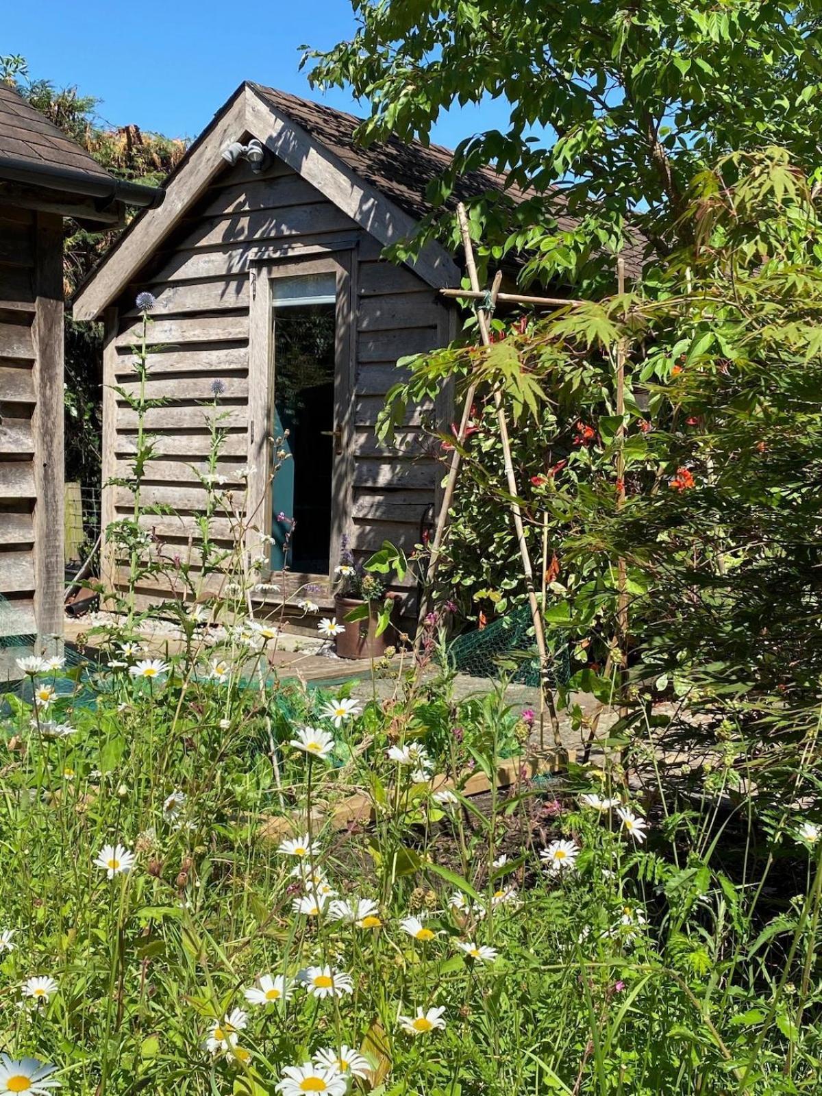 The Tool Shed Nestled In Idyllic Countryside Villa Linchmere Luaran gambar