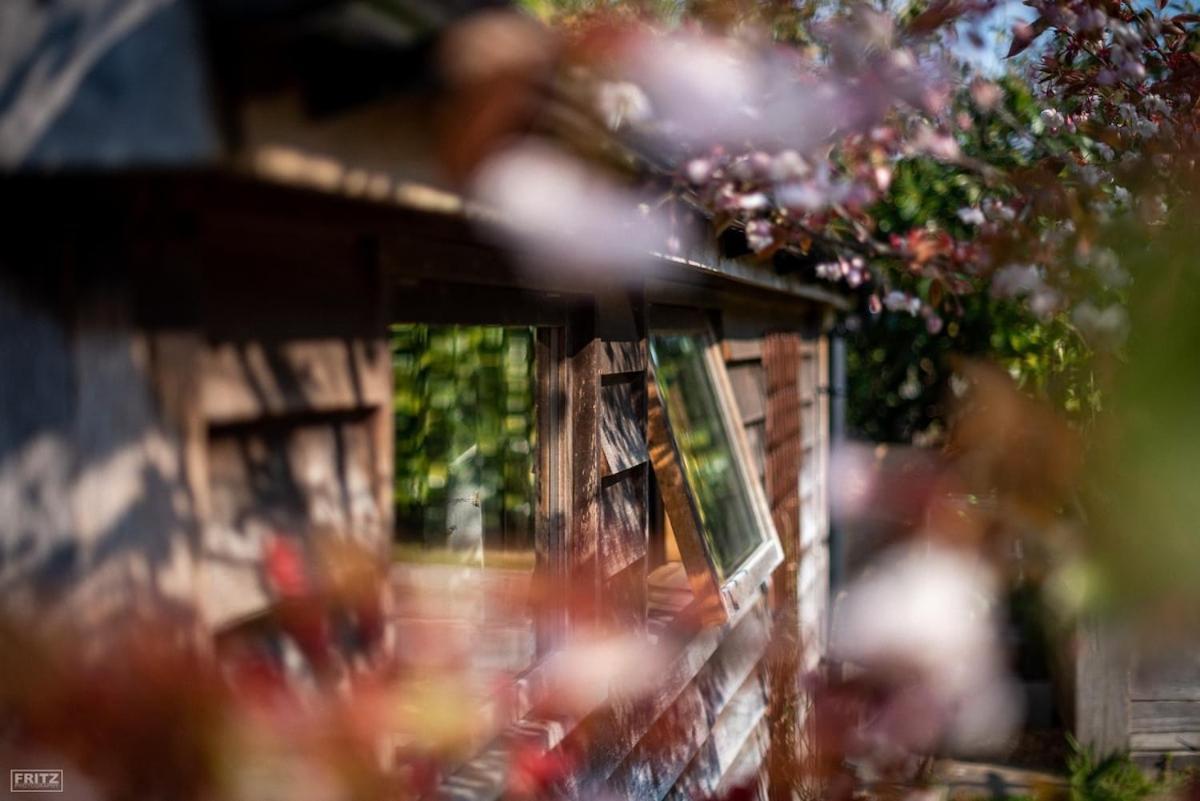 The Tool Shed Nestled In Idyllic Countryside Villa Linchmere Luaran gambar