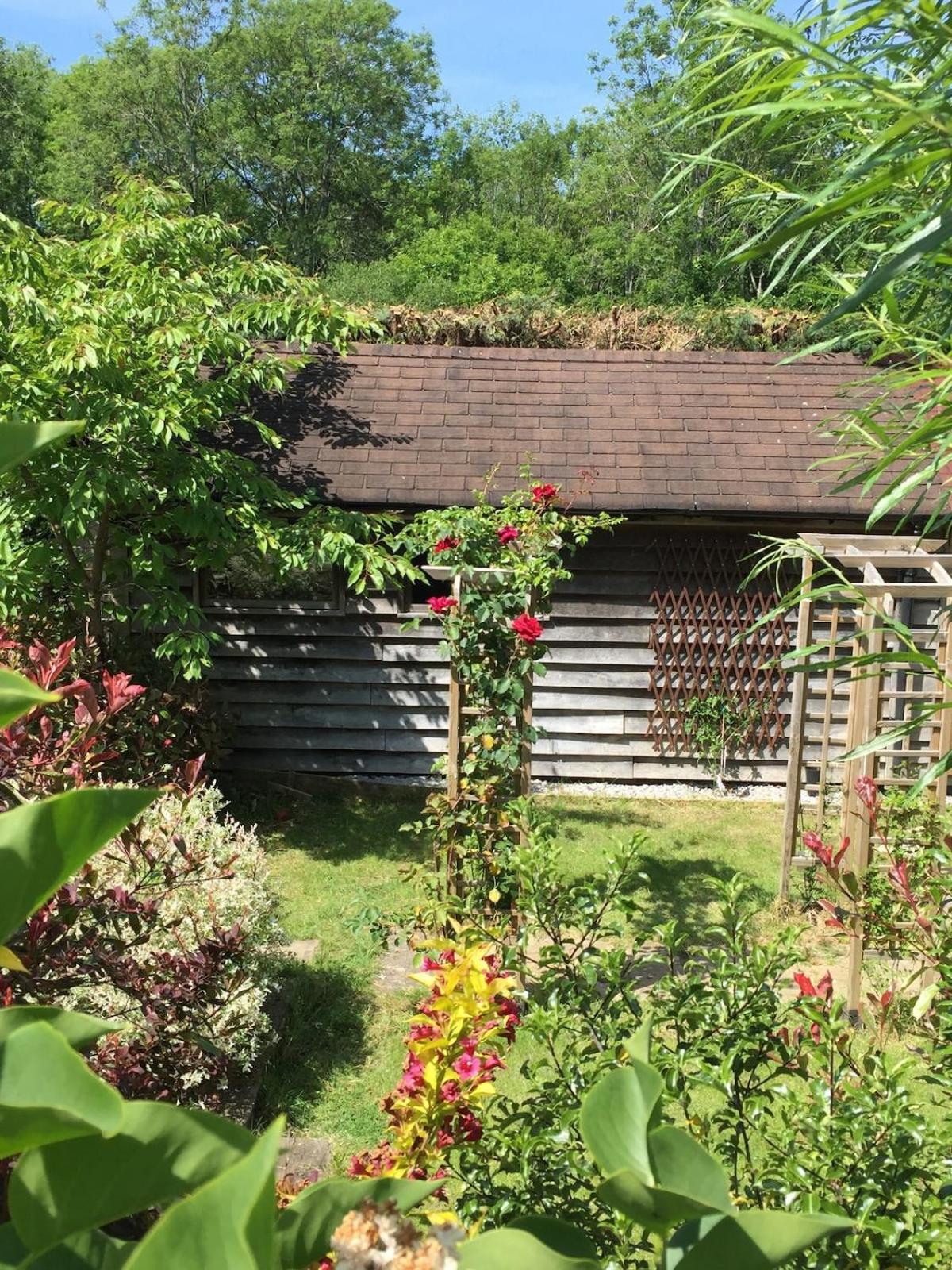 The Tool Shed Nestled In Idyllic Countryside Villa Linchmere Luaran gambar