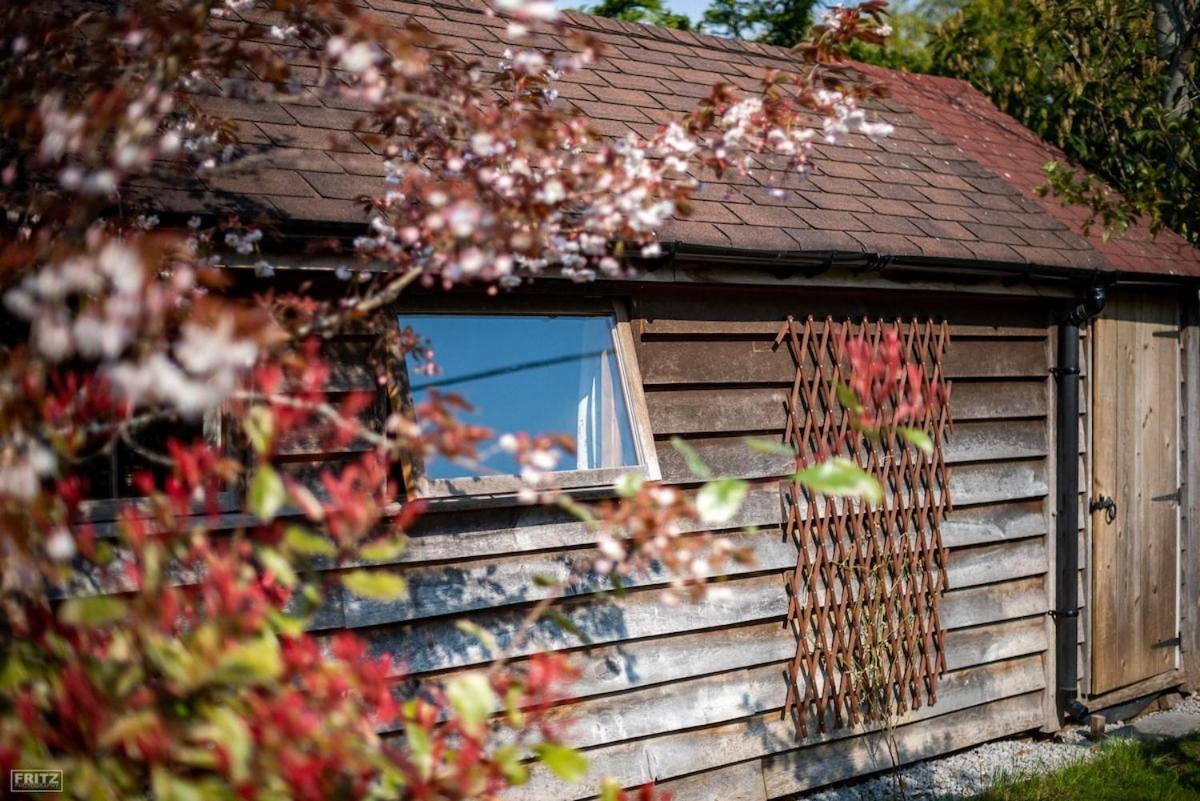 The Tool Shed Nestled In Idyllic Countryside Villa Linchmere Luaran gambar