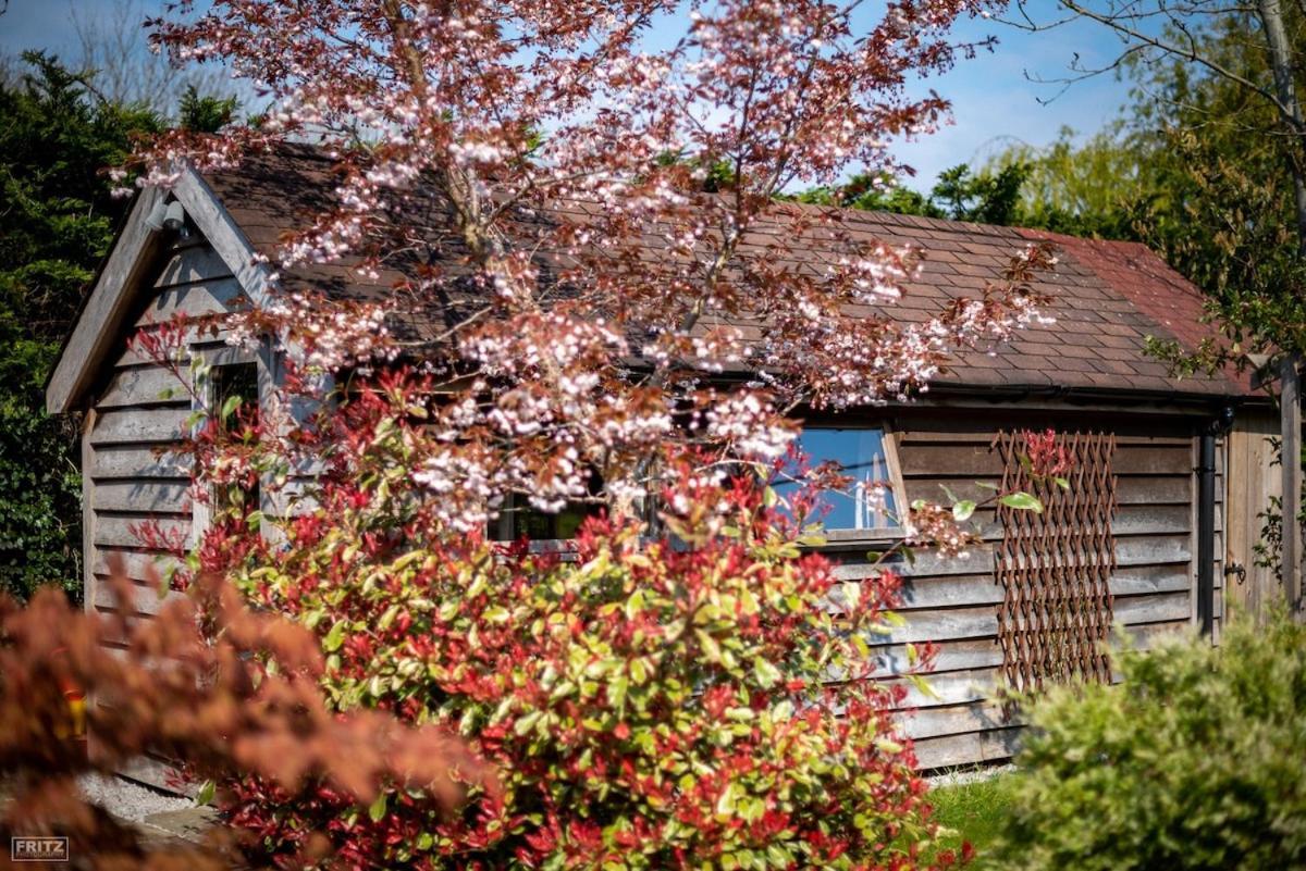 The Tool Shed Nestled In Idyllic Countryside Villa Linchmere Luaran gambar
